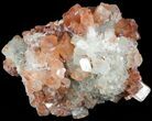 Aragonite Twinned Crystal Cluster - Morocco #49254-1